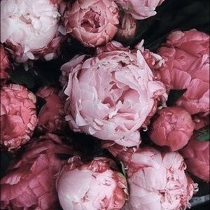 Meet your Posher, Nancy